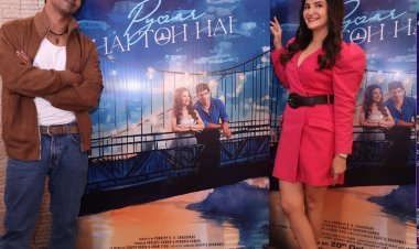 Pannie Kashyap and Karan Hariharan romance in 'Pyaar hai toh hai'